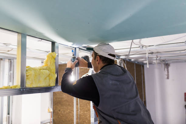 Best Eco-Friendly or Green Insulation Solutions  in Oneonta, NY