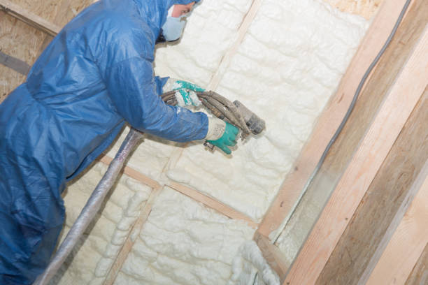 Best Crawl Space Insulation  in Oneonta, NY